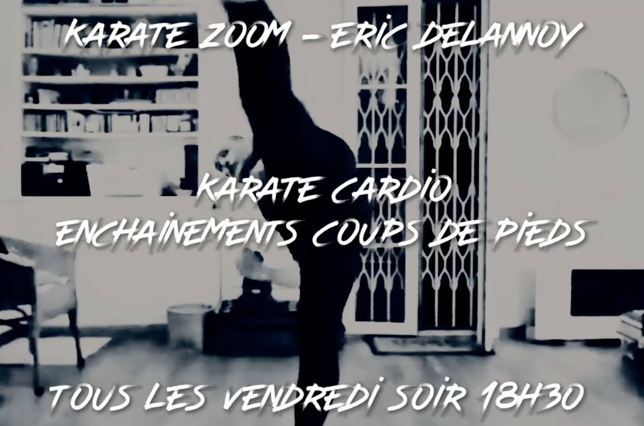 Karaté en ligne - Éric Delannoy